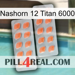 Rhino 12 Titanium 6000 27